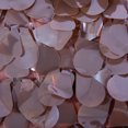 thumbnail image 2 of Vinyl Floral Sheeting, 2 of 3