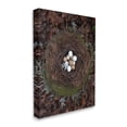 thumbnail image 3 of Stupell Industries Bird Nest Wildlife Forest Nature Speckled Eggs Photograph Gallery Wrapped Canvas Print Wall Art, Design by Tania Soderman, 3 of 5