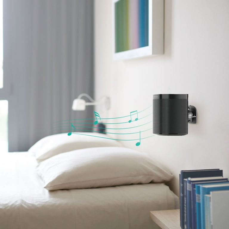 Wali speaker mount sales