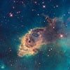 Starry Carina Nebula