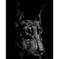 thumbnail image 3 of Chapman, Julie T. 20x24 Black Modern Framed Museum Art Print Titled - Canine Scratchboard XIII, 3 of 5