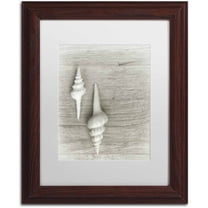 Trademark Fine Art 'Two White Shells' Canvas Art by Cora Niele, White Matte, Wood Frame