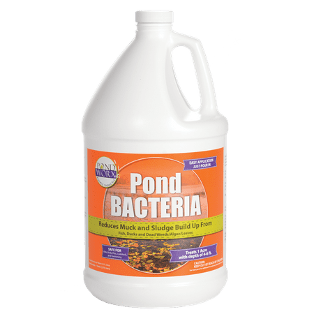 - Pondworx Pond Bacteria - Formulated for Large Ponds, Water Features and Safe for Koi - 1 Gallon