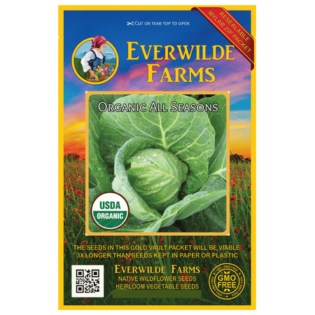 Brassica Cabbage - Everwilde Farms - 250 Organic All Seasons Cabbage Seeds - Gold Vault Jumbo Bulk Seed Packet