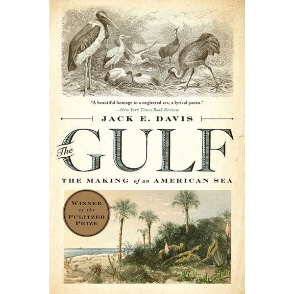 Gulf: The Making of an American Sea