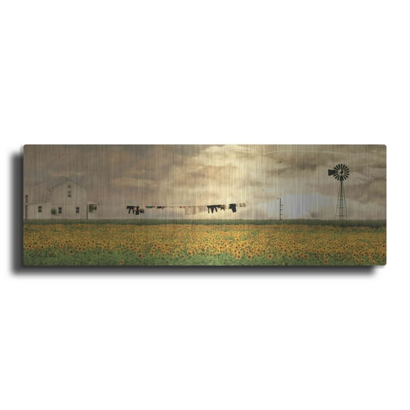 Luxe Metal Art 'Laundry Day' by Lori Deiter, Metal Wall Art, 48"x16"