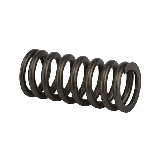 GM Genuine Parts SPRING-VLV (SLP-1)