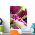 thumbnail image 1 of Carnivorous Plant Wall Mural by Wallmonkeys Peel and Stick Graphic (24 in H x 18 in W) WM106593, 1 of 4