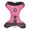 Raspberry Rose, variant on Gooby Trailblazer Harness - Adobe, 2X-Small - Comfortable Maximum Padding Shock Absorbing No Pull Dog Harness with Easy-Snap & Swivel Buckles for Small Dog and Medium Dog