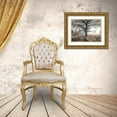 thumbnail image 3 of Frank, Assaf 14x12 Gold Ornate Wood Framed with Double Matting Museum Art Print Titled - Misty forest, 3 of 4
