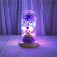 thumbnail image 4 of Naiovety Rosa en cúpula de cristal con luces Rose Flower brilla como una rosa de cristal encantada Los mejores regalos para las mujeres Día de Almacenamiento y organización del hogar Naiovety HA022617-00, 4 of 6