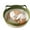 Green, variant on Basket for Cats with Durable Cotton Rope Weave, Handwoven Cat Bed with Built-in Washable Scratching Pad, Toy Tail for All-Season Indoor Comfort of Small Large Cats & Dogs.