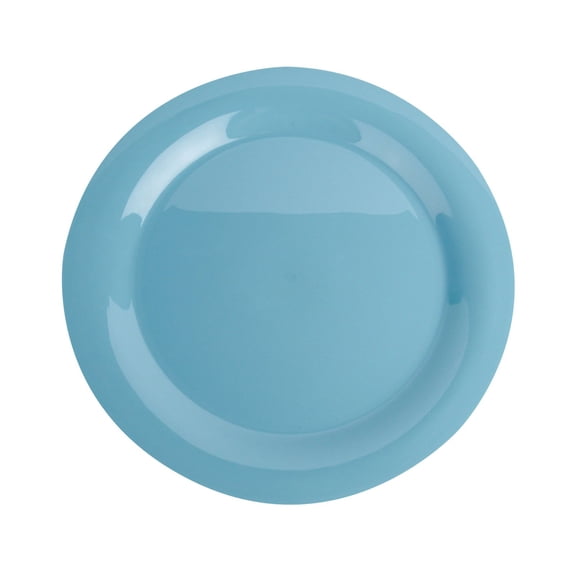 Dinner Plates, 10 inch Round PP Plastic Plates,Heavy Duty unbreakable Flat Bottom Cool Dinnerware Dishes, Dishwasher Safe, Suitable for Home,Lunch, Party, Wedding, Restaurant Use,C