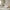 Beige, variant on Harper & Bright Designs Velvet Upholstered Daybed with Trundle, Wooden Twin Size Daybed Frame, Tufted Sofa Bed Daybed for Bedroom Living Room, Light Blue