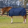 thumbnail image 2 of Adjusta Fit Pony Leg Strap Medium Weight Horse Stable Blanket | Navy Blue | 58, 2 of 9