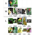 thumbnail image 2 of Bird Flight Harness Vest, Parrot Flight Suit with Leash for Cockatiels Conures Budgies, Bird Flying Clothes with Rope and Handle for Outdoor Activities Training (Blue Vest with Harness, L), 2 of 6