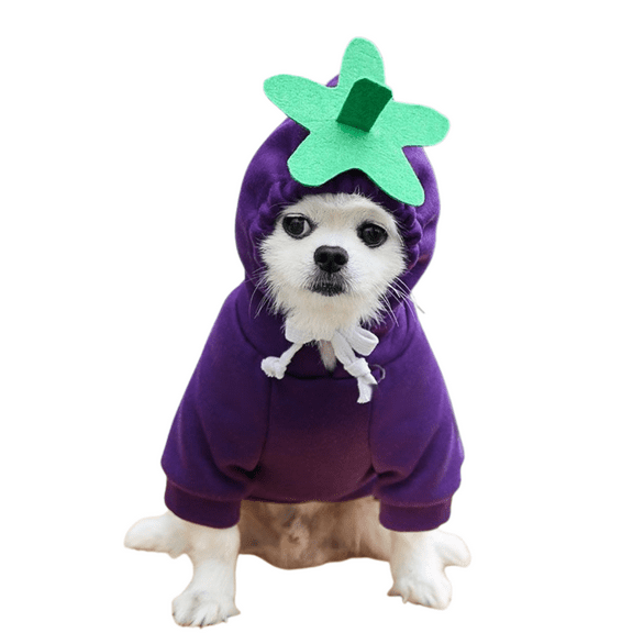Dogs Hoodie, Sweatshirt Fruit Warm Coat Sweater, Cold Weather Costume for Puppy Small Medium Dog Eggplant L
