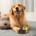 thumbnail image 4 of Hxlamzoo Pet Interactive Bird-Shaped Toy - 2025 New Flapping Bird Toy - Flying Bird Toy For Indoor Cats, 4 of 7