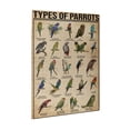 thumbnail image 2 of Types Of Parrots Print Puzzle Wall Art ,Birthday Christmas Housewarming Gift Home，Jigsaw Puzzle 500 Puzzle Pieces,Puzzle Enthusiasts, 2 of 6
