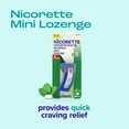thumbnail image 4 of Nicorette Mini Nicotine Lozenges to Stop Smoking, Mint Flavor, 4 Mg - 20 Count, 4 of 11