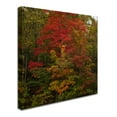 thumbnail image 3 of Trademark Fine Art "Why I Love Autumn 2" Canvas Art by Kurt Shaffer, 3 of 4