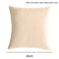 thumbnail image 2 of ENTASSER Velvet pillow cover for sofa, decorative solid square cushion cover for bedroom car.champagne40*40cm, 2 of 5