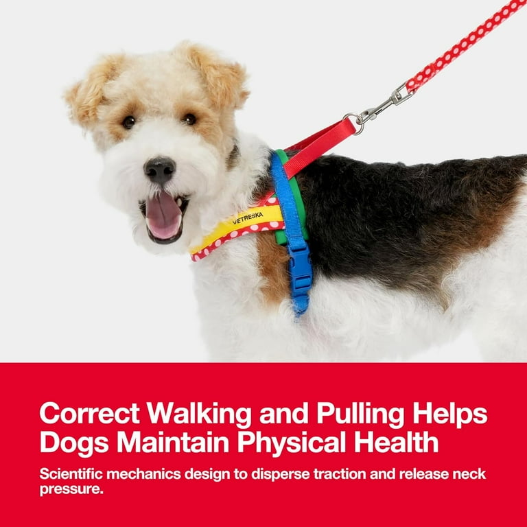 Dog harness clearance no neck pressure