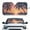 Beach Palm Tree, variant on KUIFORTI Palm Tree Car Windshield Sunshade Foldable Car Windshield Sun Shade Cover, 66.53" x 34.44" Front Window Heat Insulation Protection, for Auto Sedan, SUV Accessories