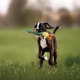 thumbnail image 2 of Nocciola 2-in-1 Squeaky Duck Dog Toy, Christmas gift,Cute Stuffed Dog Toys with Large Durable Rubber Squeaky Core for Aggressive Chewers, 2 of 5