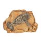 thumbnail image 2 of Reptile Basking Platform Turtle Hide Cave for Tortoise Lizard Snake Durable Lifelike Design Crawling Pet Resting Spot Hiding Place, 2 of 4