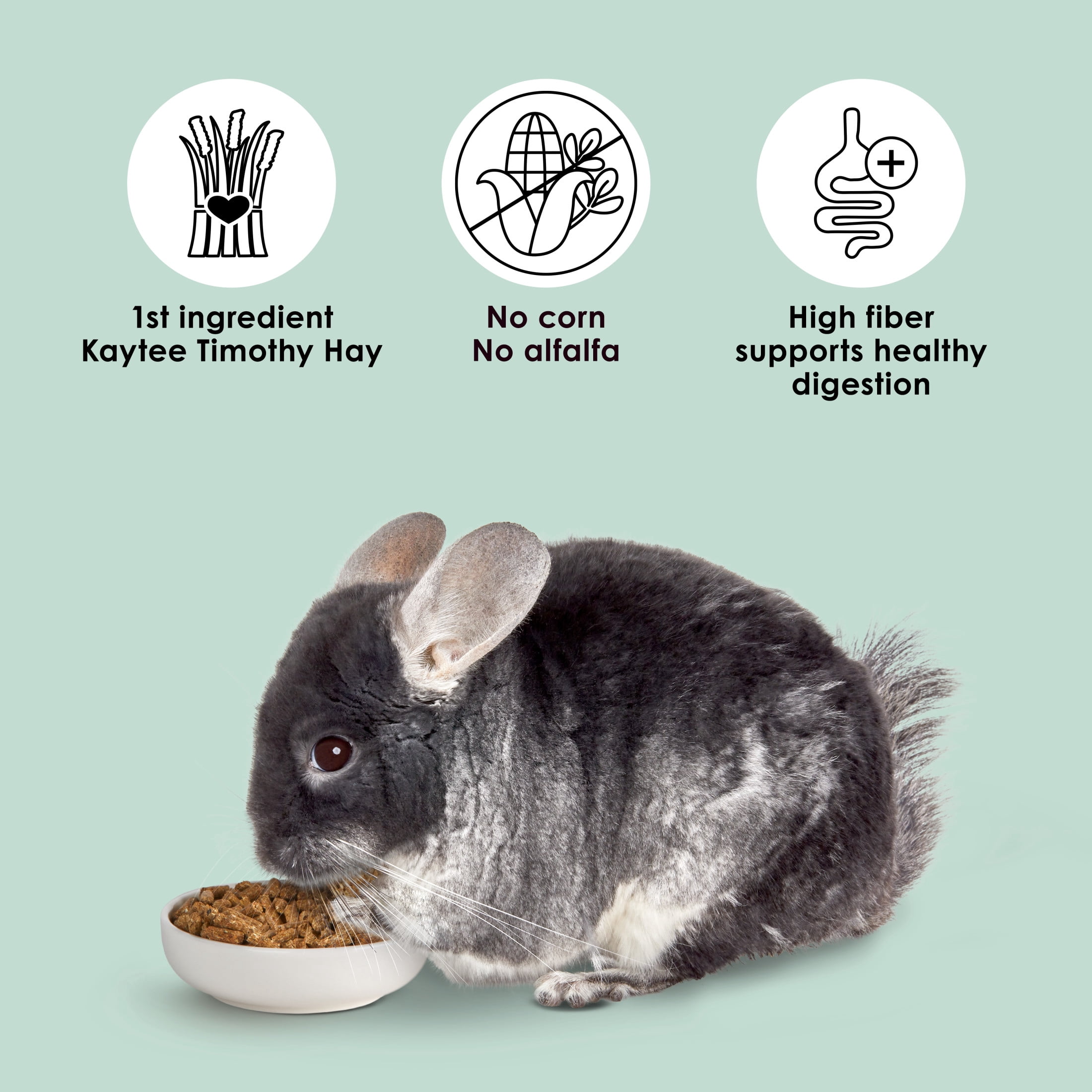 Kaytee Timothy Complete Chinchilla Food Timothy Hay 25 Pounds