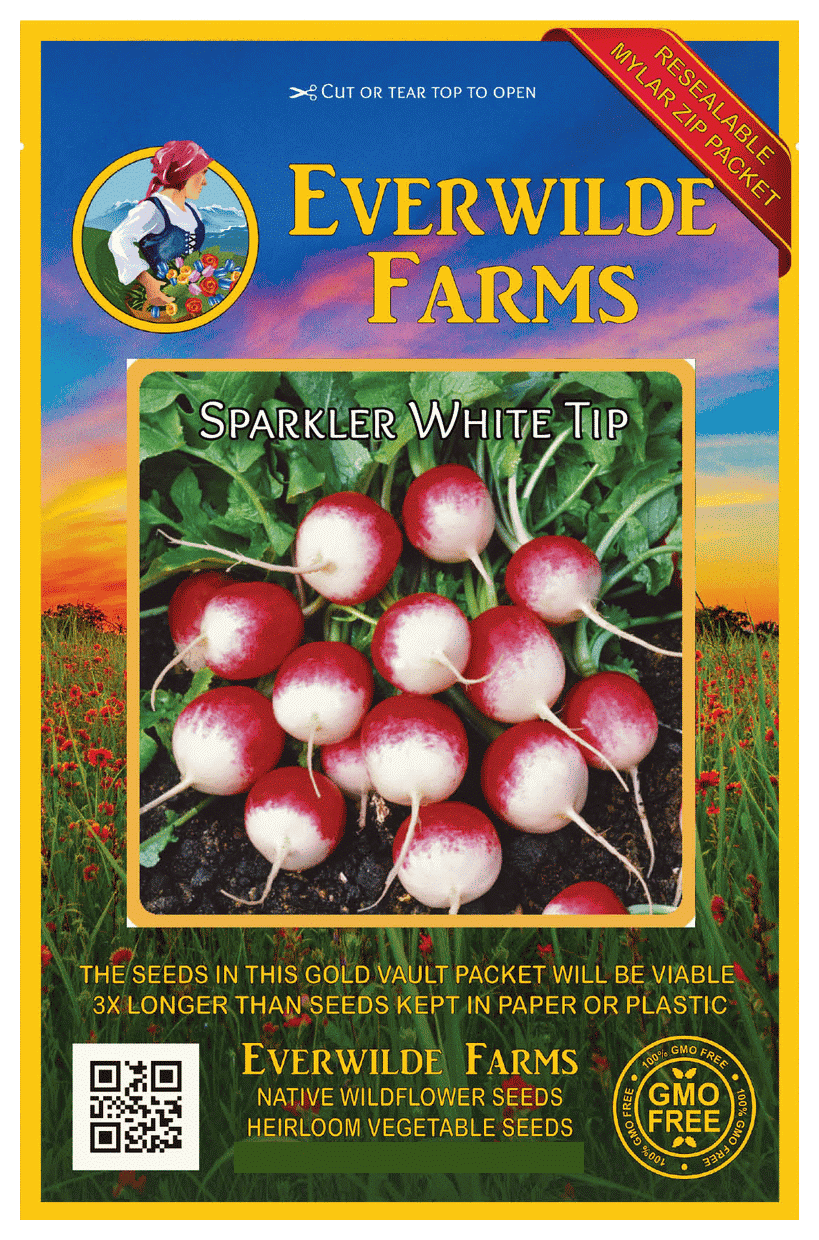 buy 3 get 4th free Cherry Belle Radish 160 Heirloom Vegetable Seeds 