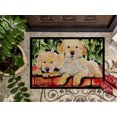 thumbnail image 3 of Carolines Treasures SS8908JMAT 24 x 36 in. Golden Retriever Doormat, 3 of 4