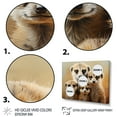 thumbnail image 3 of Designart "Meerkat Gathering in Africa II" Animals Floater Framed Canvas Wall Art, 3 of 7