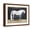 Brown Frame, variant on Art.com Equestrian Studies V Art Print by Naomi McCavitt, 16" x 12"