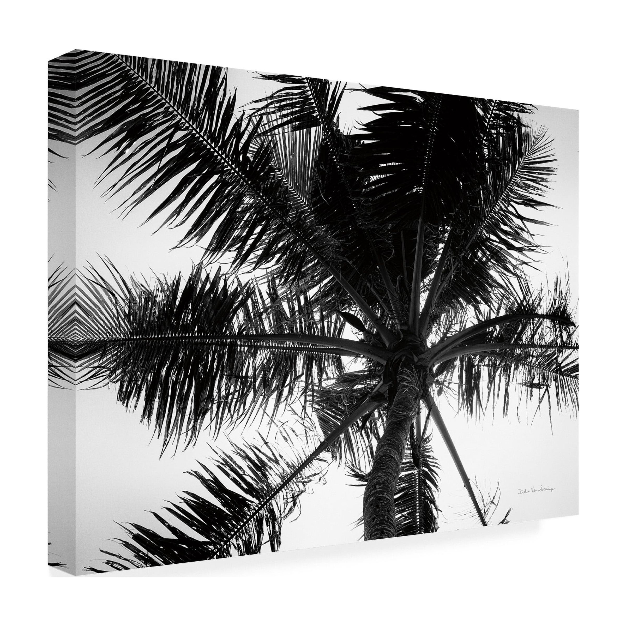 Trademark Fine Art 'Palm Tree Looking Up III' Canvas Art by Debra Van Swearingen