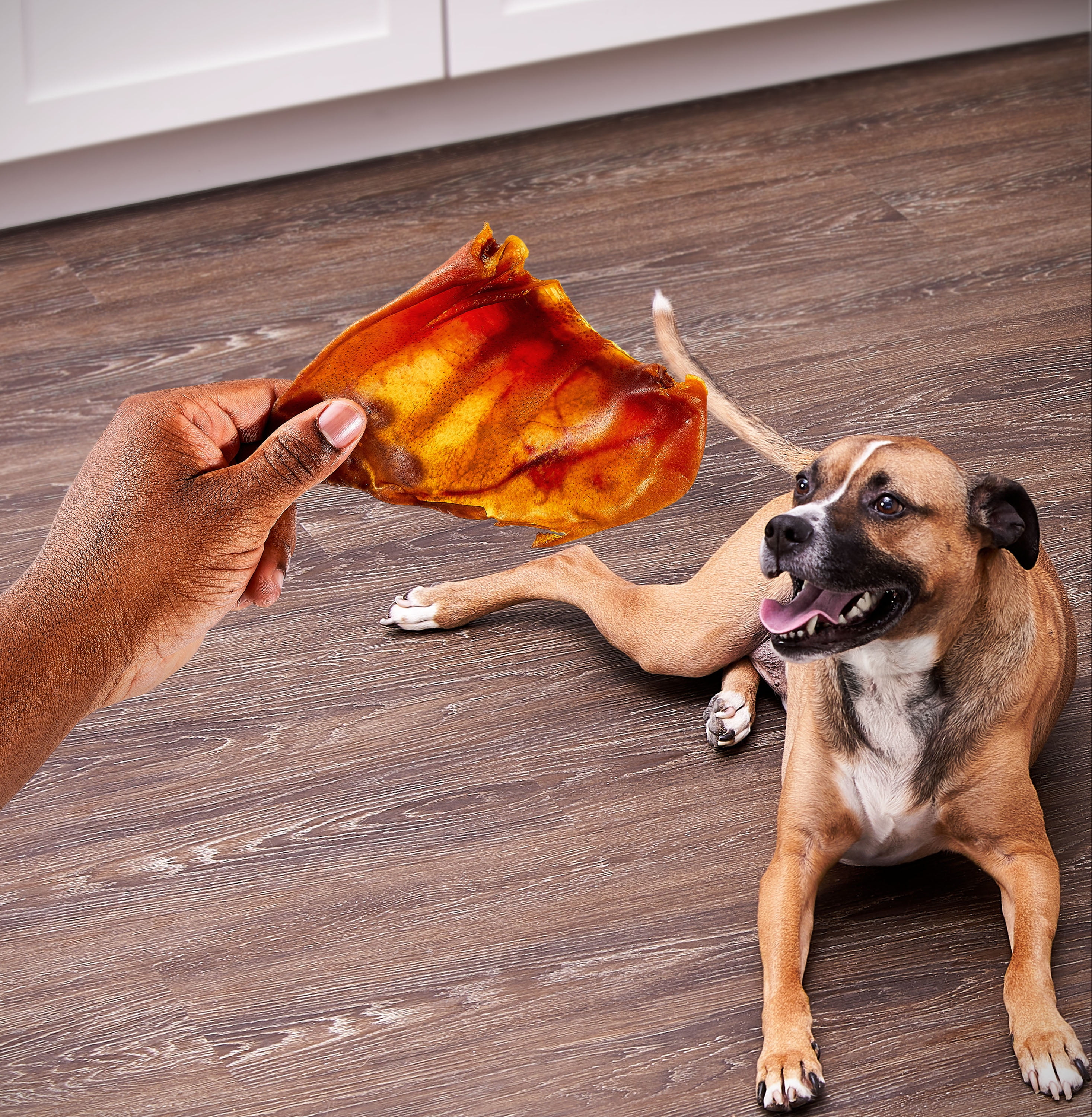 Ol' Roy Smoked Jumbo Pig Ear Chews for Dogs, 10 oz, 5 Count