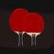 thumbnail image 3 of Greeniant Raqueta de ping pong profesional, pala de tenis de con mango antideslizante de goma y con 2 bolas y estuche de viaje Tenis de dos Greeniant OD0350-02, 3 of 6