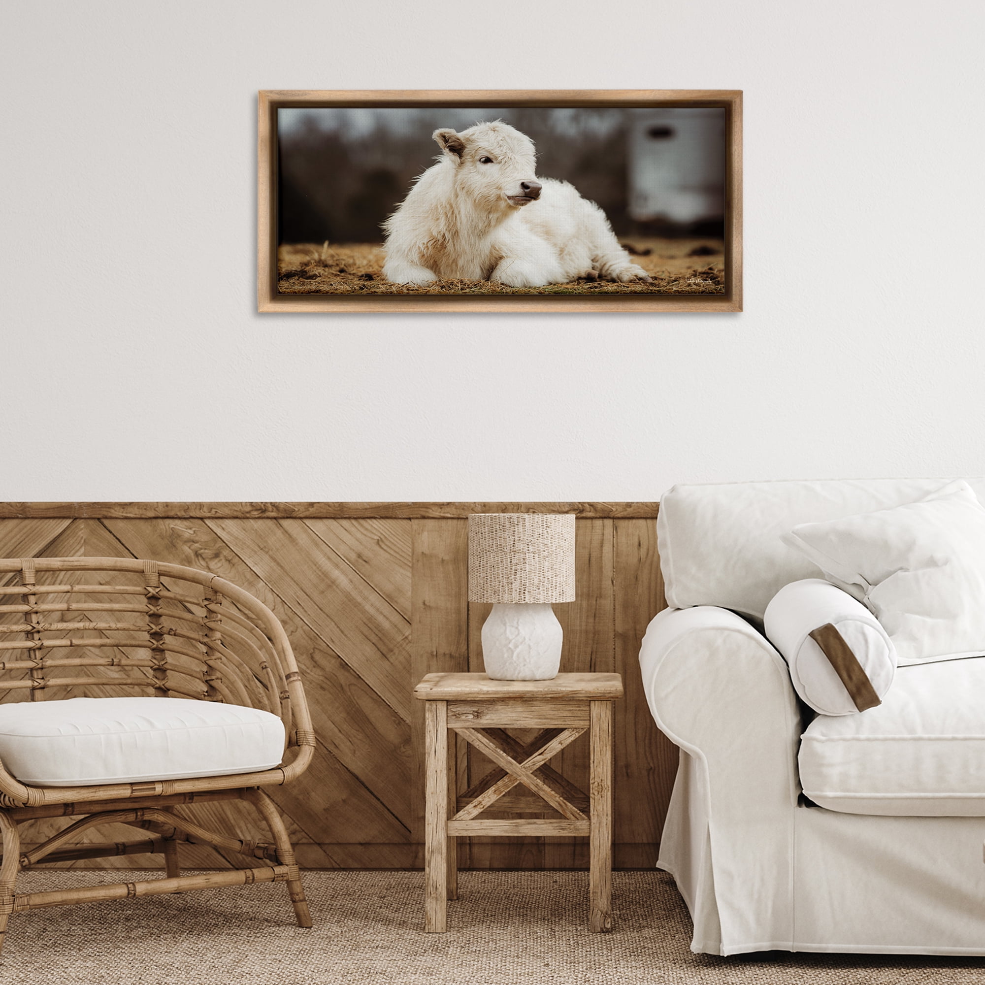 Stupell Industries Baby White Cattle Animals & Insects Photography Brown Floater Framed Canvas Art Print Wall Art, 31 x 14