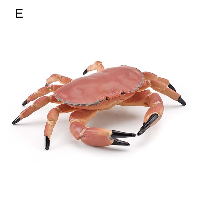Visland Simulation Animal Model Vivid Intelligence Development Solid Aquarium Miniature Crab Cognition Education Toy for Home