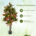 thumbnail image 3 of Gymax 2PCS 5 FT Artificial Croton Plant w/ Multi-colored PEVA Leaves Solid Wood Trunk, 3 of 10
