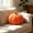 Orange B, variant on Pumpkin Pillow Decorative, Cute Halloween Plush Throw Cushion, Soft Cotton Seasonal Accent for Fall Harvest Thanksgiving, Farmhouse Home Decor, Cozy Squash Shaped Backrest for Living Room