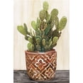thumbnail image 2 of Stellar Designs Studio 23x32 Black Ornate Wood Framed with Double Matting Museum Art Print Titled - Potted Cactus II, 2 of 4