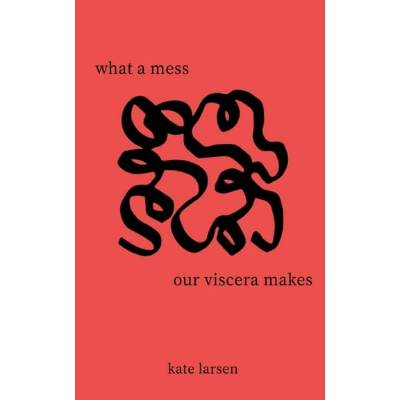 what a mess our viscera makes, (Paperback)