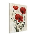 thumbnail image 2 of Trademark Fine Art 'Poppy Bouquet I' Canvas Art by Emma Scarvey, 2 of 4