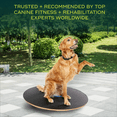 thumbnail image 5 of FitPAWS® Wobble Board - Dog Balance Training Equipment for Core Strength & Stability | Canine Fitness & Rehabilitation Tool - 36", 5 of 5