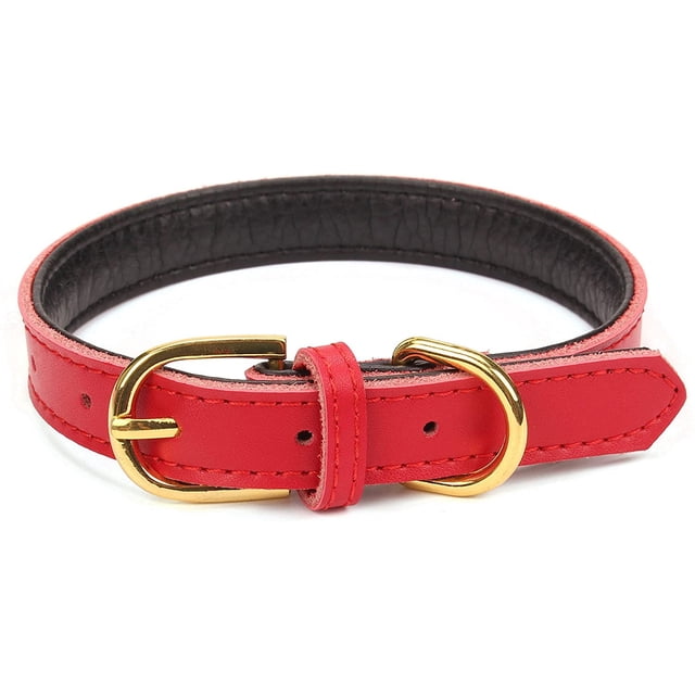Collares básicos clásicos de cuero acolchado para mascotas, para gatos, cachorros, perros pequeños y medianos