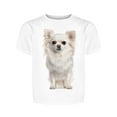 thumbnail image 1 of White Chihuahua Baby, Sitting Tee Girl's -Image by Shutterstock, 1 of 1