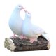 thumbnail image 4 of Pareja de palomas de pie sobre un tocón de árbol, estatua, figura, arte, adornos únicos para pájaros al aire libre, escultura de animales para patio y, 4 of 9