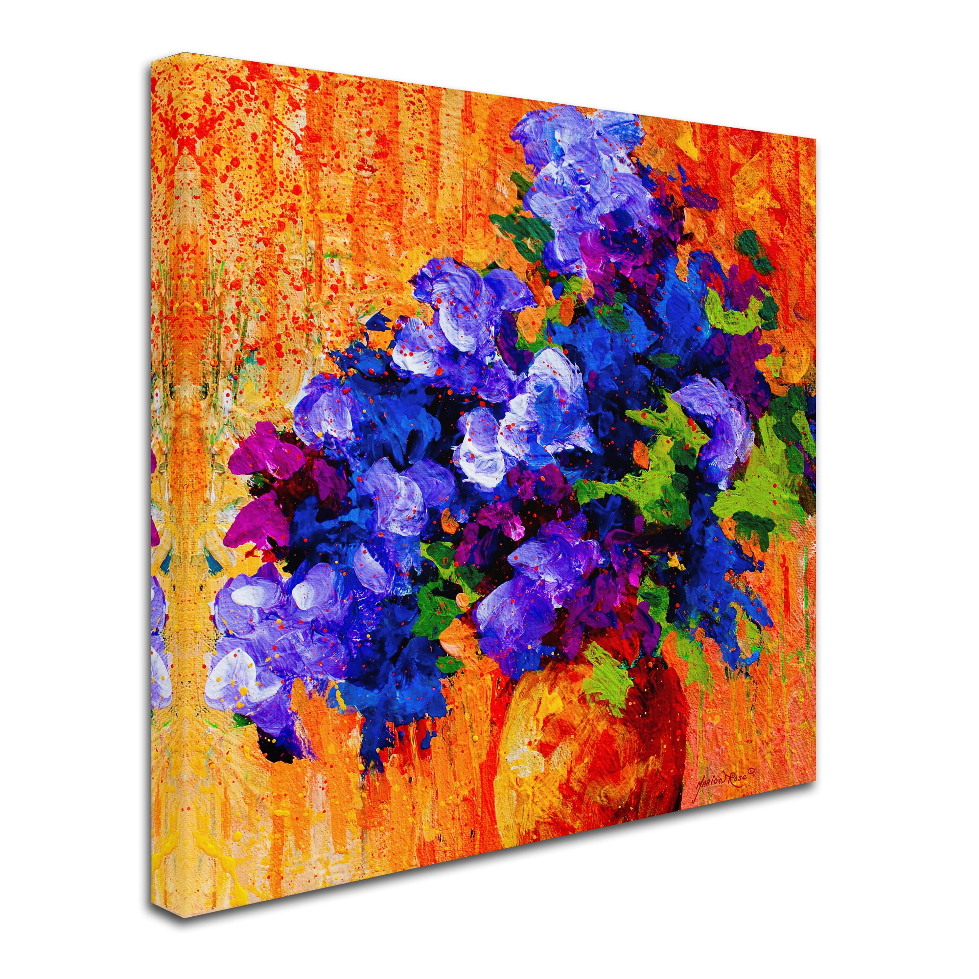 Trademark Fine Art 'Abbouquet' Canvas Art by Marion Rose
